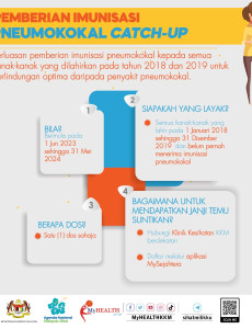 Pemberian Imunisasi Pneumokokal Catch-Up